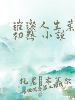 璀璨人生叶辰萧初然 小说