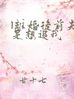 l离婚后前夫总是想追我