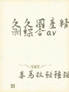 久久国产精品亚洲综合av