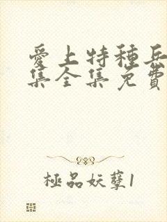 爱上特种兵40集全集免费观看