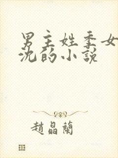 男主姓季女主姓沈的小说