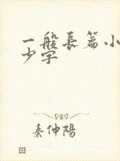 一般长篇小说多少字