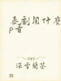 泰剧用什么app看