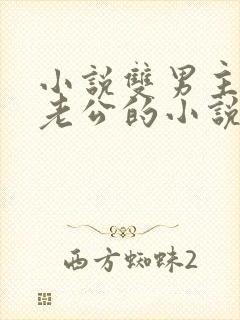 小说双男主虐文老公的小说推荐完结