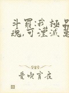 斗罗:我极品武魂,可湮灭万物