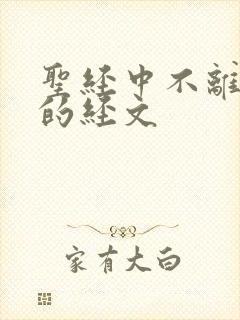 圣经中不离不弃的经文