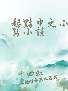 起点中文小说网写小说