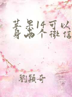 苹果14可以分身两个微信吗怎么弄