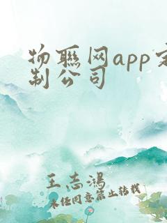 物联网app定制公司