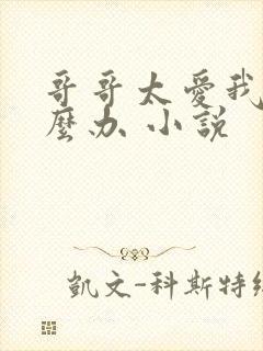 哥哥太爱我了怎么办 小说