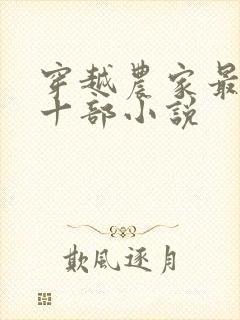 穿越农家最经典十部小说