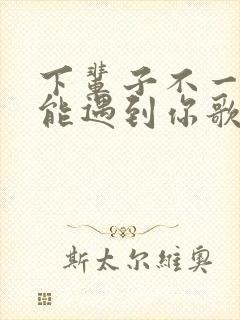 下辈子不一定还能遇到你歌词完整版