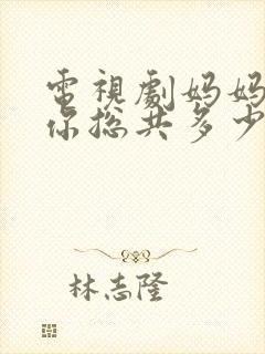 电视剧妈妈在等你总共多少集