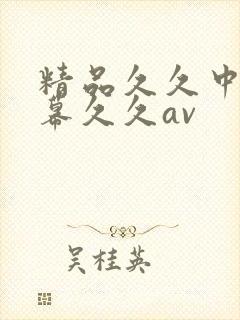 精品久久中文字幕久久av