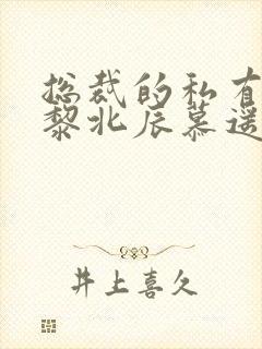 总裁的私有宝贝黎北辰慕遥