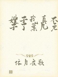 嫂子我真不是傻子了叶凡免费阅读全文