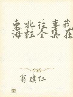 东北往事我叫刘海柱全集在线观看