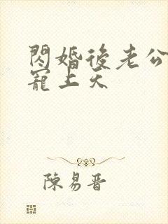 闪婚后老公每天宠上天