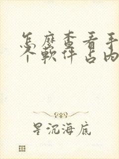 怎么查看手机哪个软件占内存