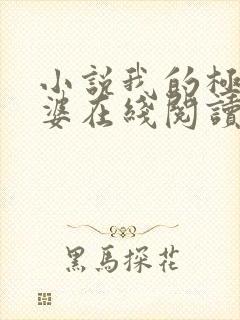 小说我的极品老婆在线阅读