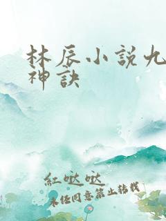 林辰小说九天斩神诀