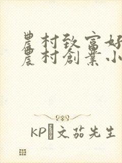 农村致富好项目农村创业小项目机器加工项目