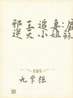 邪王追妻:废材逆天小姐苏落南宫流云