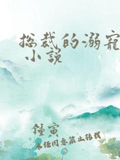 总裁的溺宠甜妻 小说