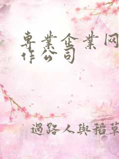 专业企业网站制作公司