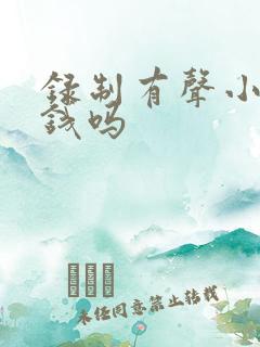 录制有声小说赚钱吗