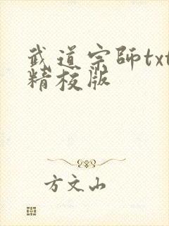 武道宗师txt精校版