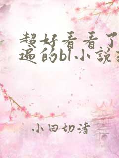 超好看看了好多遍的bl小说推荐