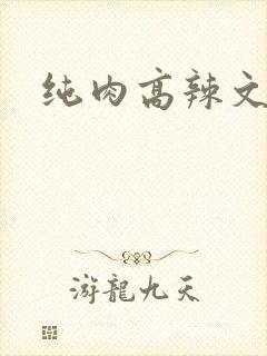 纯肉高辣文h