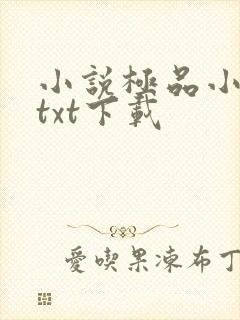 小说极品小侯爷txt下载