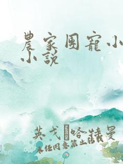 农家团宠小福宝小说