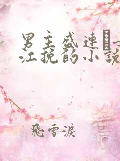 男主盛连玦女主江挽的小说