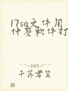 17sg文件用什么软件打开