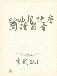 epub用什么阅读器看