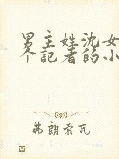 男主姓沈女主是个记者的小说