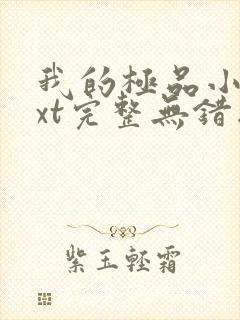 我的极品小姨txt完整无错版