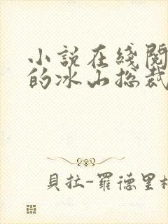 小说在线阅读我的冰山总裁老婆