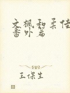 文枫和柔佳婚后番外篇