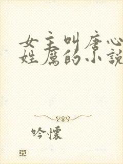 女主叫唐心男主姓厉的小说