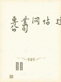 专业网站 建设公司