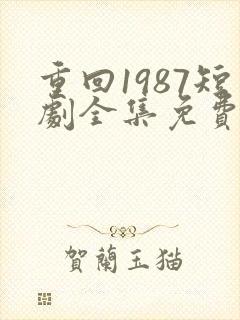 重回1987短剧全集免费观看
