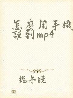 怎么用手机传小说到mp4