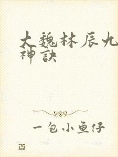 大魏林辰九天斩神诀