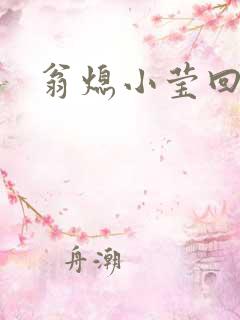 翁熄小莹回乡下