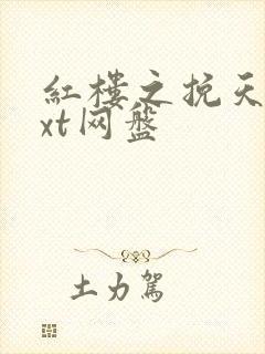 红楼之挽天倾txt网盘