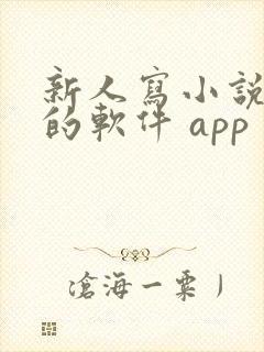 新人写小说赚钱的软件 app